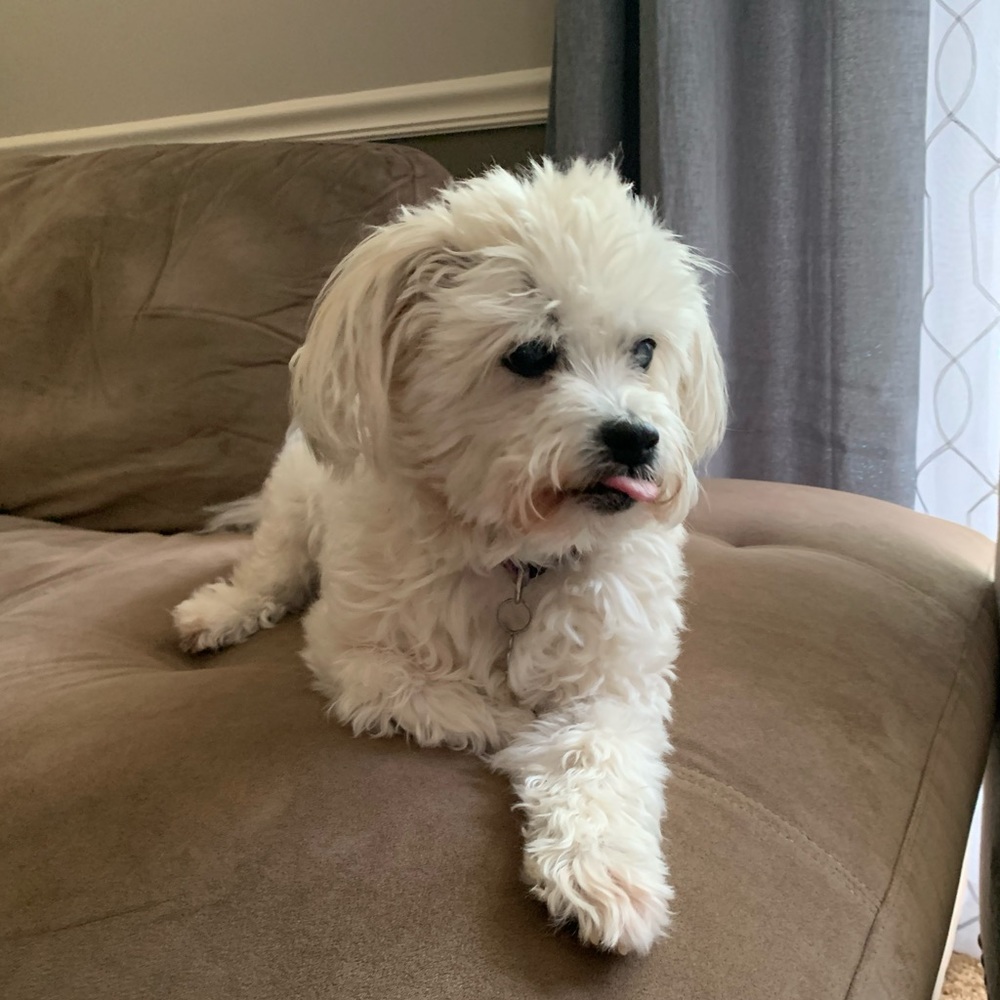 Meet your Posher, Alyssa